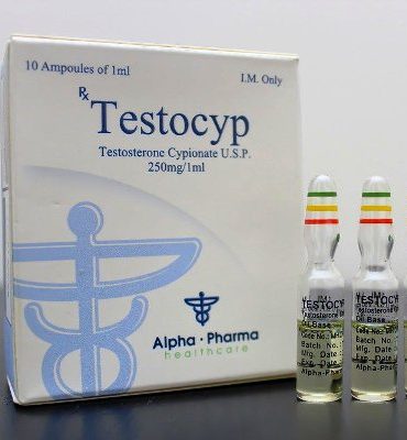 Testosterone Cypionate 10 ampuller (250mg/ml) online by Alpha Pharma, Watson analogue